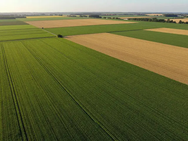 Bewertung landwirtschaftlicher Grundstücke: So beeinflussen Pacht, Bodenqualität und Baurecht den Wert